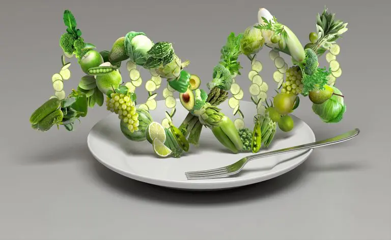 https://medium.com/@VegLand
